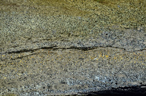 Cross Polarized, N12747