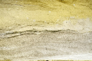 Plane Polarized, N12747