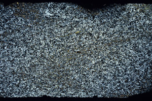 Cross Polarized, N12750