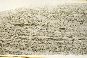 Plane Polarized, N12753