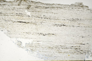 Plane Polarized, N12762