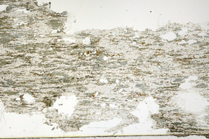 Plane Polarized, N12771