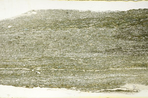 Plane Polarized, N12773