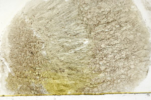 Plane Polarized, N12784