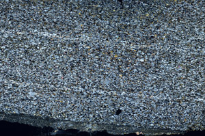 Cross Polarized, N12789