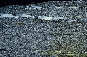 Cross Polarized, N12807