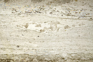 Plane Polarized, N12812