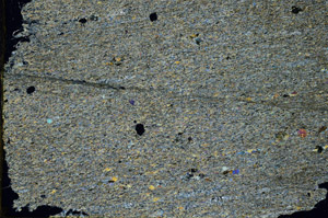 Cross Polarized, N12817