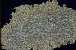 Cross Polarized, N12818