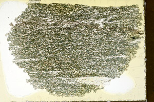 Plane Polarized, N12827