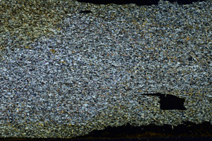 Cross Polarized, N12833