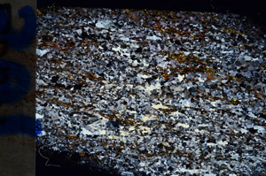 Cross Polarized, N12837