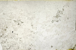 Plane Polarized, N12839