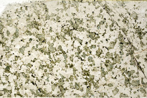 Plane Polarized, N12841