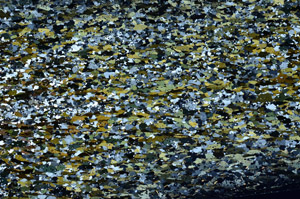 Cross Polarized, N12856
