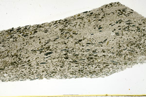 Plane Polarized, N12863