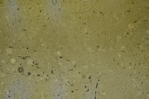 Cross Polarized, ED68