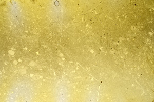 Plane Polarized, ED68