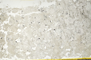 Plane Polarized, ED90