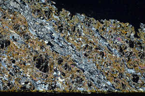 Cross Polarized, ED91