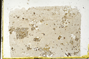 Plane Polarized, ED92