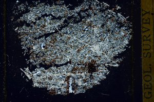 Cross Polarized, ED110