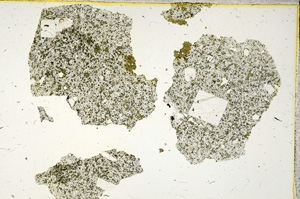 Plane Polarized, ED119