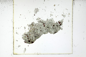 Plane Polarized, ED122