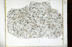 Plane Polarized, ED124