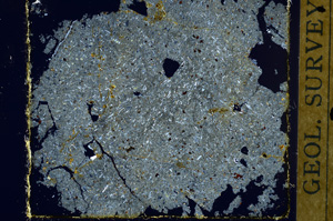 Cross Polarized, ED131