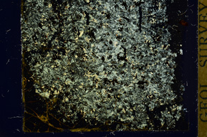 Cross Polarized, ED139