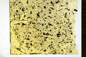 Plane Polarized, ED139