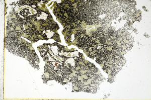 Plane Polarized, ED143