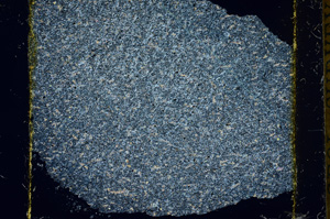 Cross Polarized, ED152