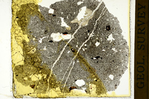 Plane Polarized, ED185
