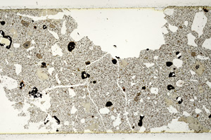 Plane Polarized, ED186