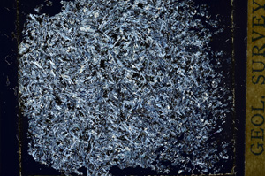 Cross Polarized, ED208
