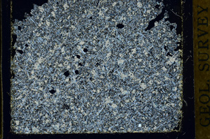 Cross Polarized, ED219