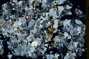 Cross Polarized, ED230