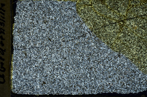 Cross Polarized, ED239