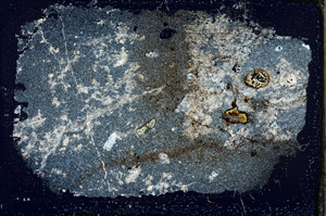 Cross Polarized, ED256