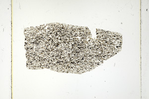 Plane Polarized, ED261