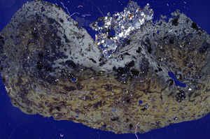 Cross Polarized, ED263