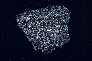 Cross Polarized, ED268