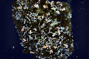 Cross Polarized, ED309