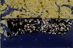 Cross Polarized, ED318