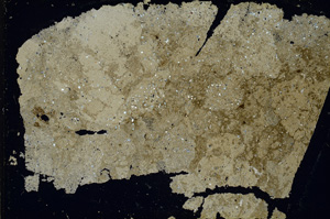 Cross Polarized, ED321