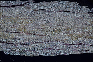 Cross Polarized, ED326