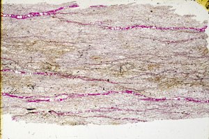 Plane Polarized, ED326