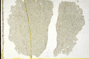 Plane Polarized, ED330